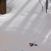 история про....