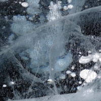 застывшие во льду