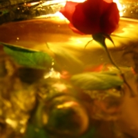 С Новым Годом, Дорогой Сайт!!!