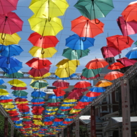 "Парящие зонтики" в Петербурге