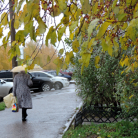 Плачет осень под жёлтым зонтом.