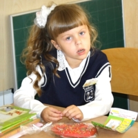 В стране чудес