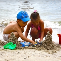 Что нам стоит дом построить