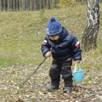 Нет здесь грибов!!!