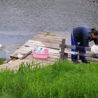 " - И посидеть-то ей некогда"