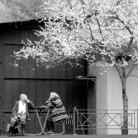 Вот и тепло пришло.