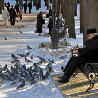В курортном парке.