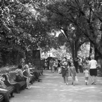 А там мороженое продают...