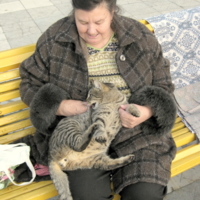 Бездомный кот Васька.