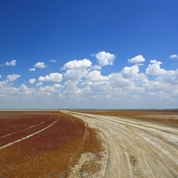 Вьётся, не кончается...