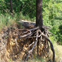 Над обрывом