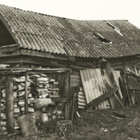 Изо всех сил