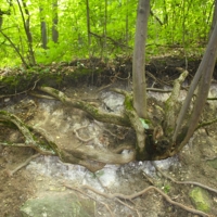 Хочешь жить - выкручивайся