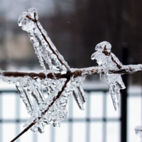 Упражнение на перекладине