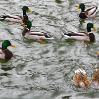 Чтобы не подслушали