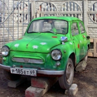 Ромашковый авто