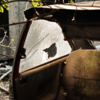 Давно стою...