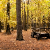 Пункт назначения - Осень