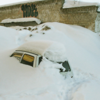 Подснежник