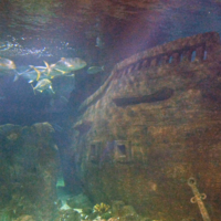 Корабли на дно уходят ...