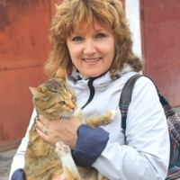 Улыбайся, нас снимают