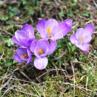 Дружная семейка