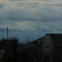 Городская окраина.