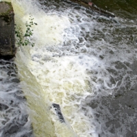 У водопада