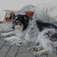 Призрачно всё...