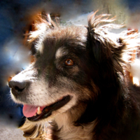 Восторженный взгляд