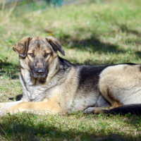 Не бойся, не трону