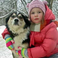 Мой друг Рой