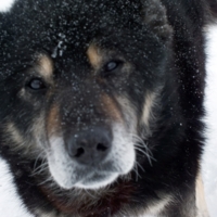 Меня зовут Граф