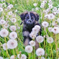 Весеннее настроение