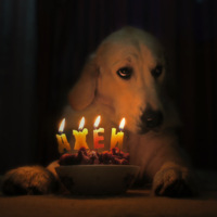 Свечки убери ПОЖАЛУЙСТА