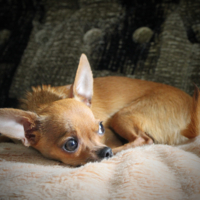 Интересно, все меня любят?