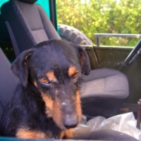 Занято место, занято! 