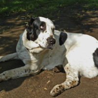 Что скажешь?