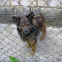 За что же меня за решетку?