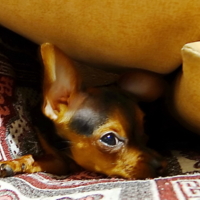 " - Вы что-то там про меня?"