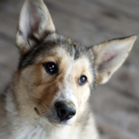 На косточку заработал?