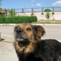 Ну, давай же!