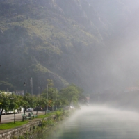 Вышла дама из тумана