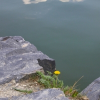 Я ещё постою на краю