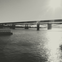 Черно-белые мосты