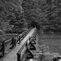 Лесной мост.