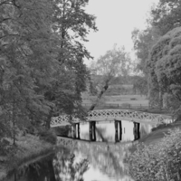 В старом парке