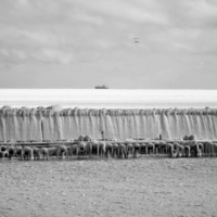 СКОРЕЕ  бы  ВЕСНА