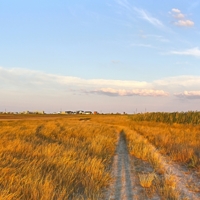 Вышел в поле великан
