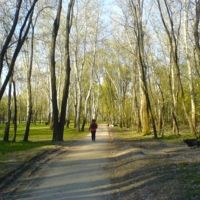 Она ушла и пали тени...